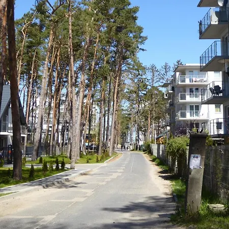 Lesne Tarasy Blue Dziwnówek